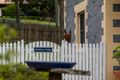 Property photo of 52 Valley View Drive Meringandan West QLD 4352