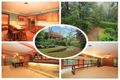 Property photo of 85 Emu Plains Road Mount Riverview NSW 2774