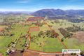 Property photo of 777 Nundle Road Piallamore NSW 2340