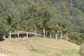 Property photo of 405 South Island Loop Road Upper Orara NSW 2450
