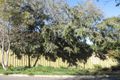Property photo of 5 Maitland Terrace Seacliff SA 5049