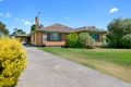 Property photo of 11 Amos Avenue Benalla VIC 3672