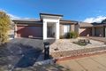 Property photo of 17 Hesba Brinsmead Street Franklin ACT 2913
