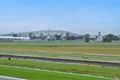 Property photo of 50 Raceview Avenue Hendra QLD 4011