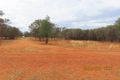 Property photo of 264 Lerida Road Cobar NSW 2835