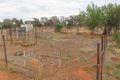 Property photo of 264 Lerida Road Cobar NSW 2835