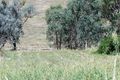 Property photo of 31 Lambourn Drive West Wodonga VIC 3690
