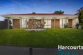 Property photo of 43 Eucalyptus Place Meadow Heights VIC 3048