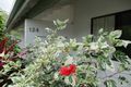 Property photo of 124/61-79 Mandalay Avenue Nelly Bay QLD 4819