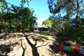 Property photo of 12 Collene Grove Springwood QLD 4127