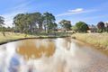 Property photo of 838 Castledoyle Road Castle Doyle NSW 2350