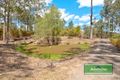 Property photo of 5 Sheoak Place Cedar Grove QLD 4285