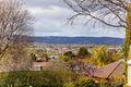 Property photo of 13 Tullamore Court Greenwith SA 5125