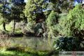 Property photo of 678 Moe South Road Moe South VIC 3825