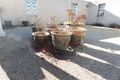 Property photo of 231 Sharp Street Cooma NSW 2630