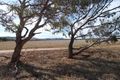 Property photo of 17 Hill River Way Moonyoonooka WA 6532