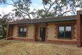 Property photo of 5/2 Moculta Road Angaston SA 5353