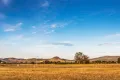 Property photo of 184 Broadhead Road Spring Flat NSW 2850