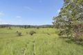 Property photo of 9 Leslie Court King Scrub QLD 4521