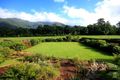 Property photo of 13 Sascha Close Redlynch QLD 4870