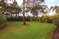 Property photo of 22 Sylvan Avenue Medowie NSW 2318