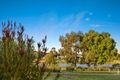 Property photo of 12 Holburn Rise Ocean Grove VIC 3226