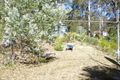 Property photo of 9 Ibis Place Catalina NSW 2536