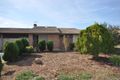 Property photo of 51 Tisbury Street Elizabeth North SA 5113