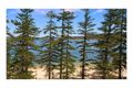 Property photo of 610/54-68 West Esplanade Manly NSW 2095