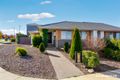 Property photo of 34 Whitrod Avenue Casey ACT 2913