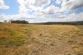 Property photo of 654 Bryans Gap Road Tenterfield NSW 2372