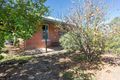 Property photo of 28 Michie Street Elmore VIC 3558