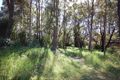 Property photo of 23 Jasmine Street Colo Vale NSW 2575