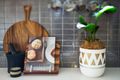 Property photo of 20B Trumper Street Ermington NSW 2115