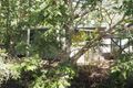 Property photo of 150 Deans Road The Palms QLD 4570