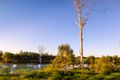 Property photo of 264 Greenview Circuit Arundel QLD 4214