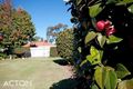 Property photo of 41 Berkeley Crescent Floreat WA 6014