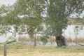 Property photo of 89 River Reserve Road Swan Reach SA 5354