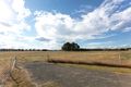 Property photo of 60 Eucalyptus Close Forest Reefs NSW 2798