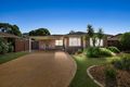 Property photo of 46 Porpoise Crescent Bligh Park NSW 2756