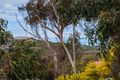 Property photo of 1 George Street Anglesea VIC 3230