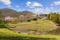 Property photo of 372 Caves Road Wee Jasper NSW 2582
