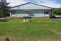 Property photo of 31 Cormie Avenue Wee Waa NSW 2388
