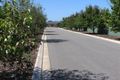 Property photo of 1 Manchurian Lane Murray Bridge SA 5253