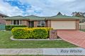 Property photo of 162 Dorville Road Carseldine QLD 4034