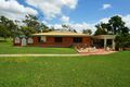 Property photo of 45 Black Gin Creek Road Alton Downs QLD 4702