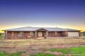 Property photo of 17 Olearia Place Lake Albert NSW 2650