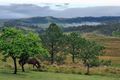 Property photo of 78 Nicholls Road Mummulgum NSW 2469