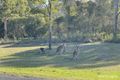 Property photo of 96/4528 Bundaberg Gin Gin Road Gin Gin QLD 4671