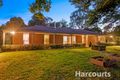 Property photo of 16 Haig Avenue Monbulk VIC 3793
